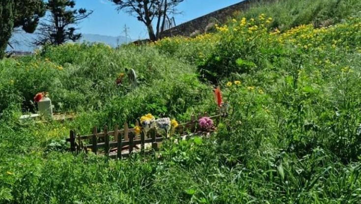 Palermo, al cimitero dei Rotoli le lapidi scomparse sotto cumuli di erbacce