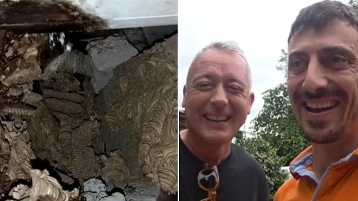 Il disinfestatore a casa di Pierluigi Diaco e Orsingher: “Punti dalle vespe”