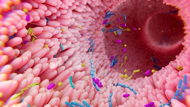 Batteri, funghi e virus influenzano la biologia del cancro. Ecco come studiarli