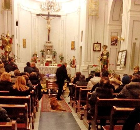 Muore la padrona, cane in prima fila al funerale