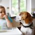 Il bebè è in arrivo e col cane come si fa?