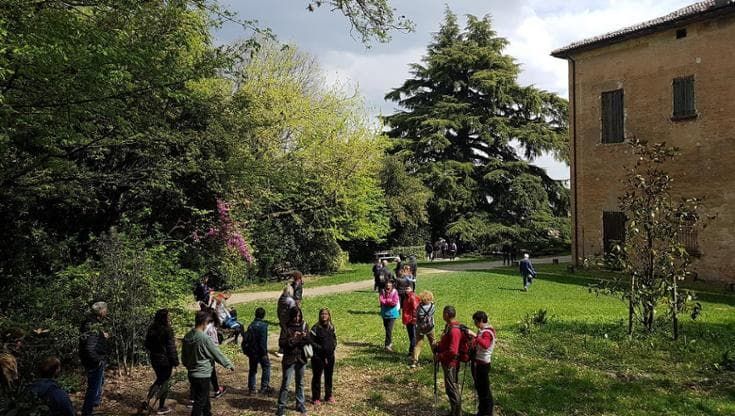 Il silenzio degli alberi in cammino