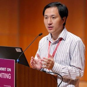 Cina, il governo cinese ordina lo stop all'"editing genetico"