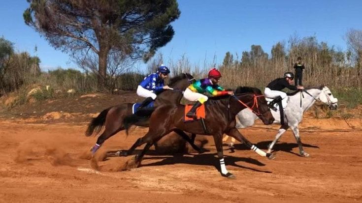 Puntate illecite e cavalli drogati con il doping che viene dalla Cina