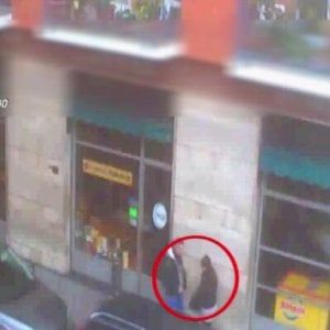 Banda di Collegno in carcere, "Meglio sexy driver per le prostitute che fare l'operaio"