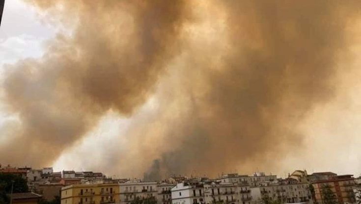 Gargano, incendio devasta le campagne tra Vico e Ischitella: fiamme a ridosso delle case e canadair in azione 