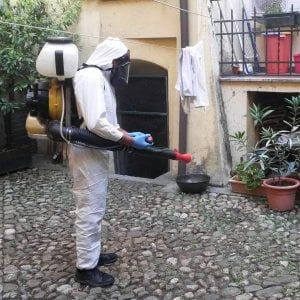 Zanzare infette, a Reggio Emilia un caso di Zika e uno di West Nile