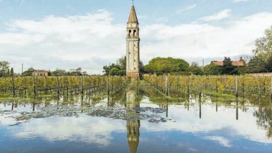 Moeche, vini rari e trattorie: ecco i sapori della Laguna di Venezia
