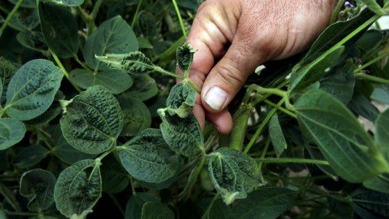 Legambiente lancia l'allarme: "Mix di pesticidi in Emilia-Romagna"