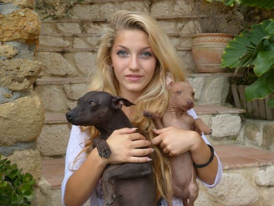 Cane nudo, da Sanremo alla "conquista" dell'Italia