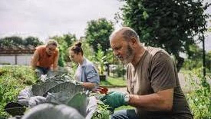 Imprese sociali italiane, metà svolgono attività e hanno la loro sede nel Mezzogiorno