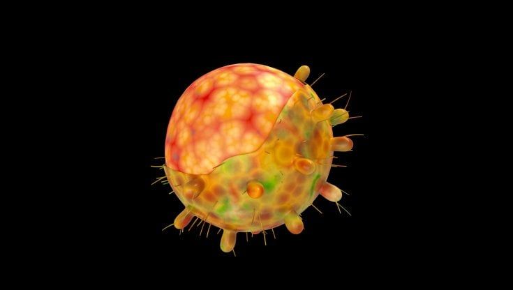 Covid, arriva "Centaurus": l'ultima sottovariante che preoccupa i virologi