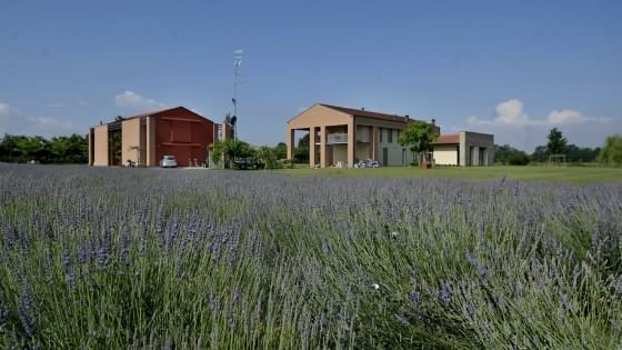 Un angolo di Provenza a due passi dalla città 