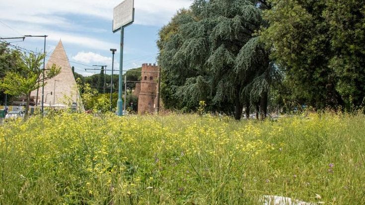 Tour nella giungla urbana: dall’Appia alla Tiburtina è allarme verde selvaggio