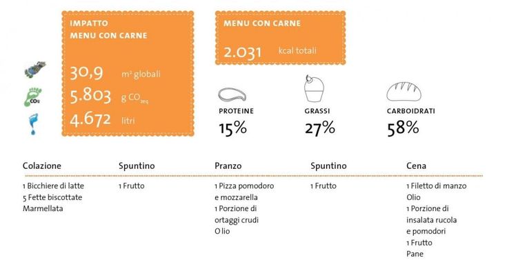 Dieta veg contro carnivora: ecco come cambia l'impatto ambientale