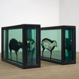 Arezzo, domani volantini contro Damien Hirst