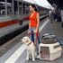 Cani grandi in carrozza a 5 euro. Trenitalia: 