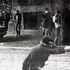 Lettere a una suora dagli anni di piombo