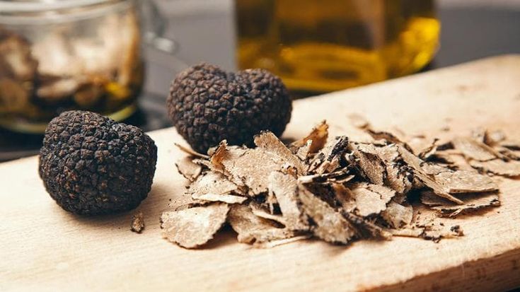 Salento, il futuro è nel tartufo: per rinascere dopo la Xylella si fanno strada i nuovi “cercatori”