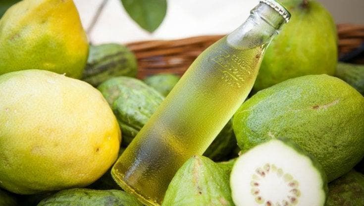 Giro d’Italia del Gusto: da Praia a Mare a Potenza, tra cedri, Aglianico e peperoni cruschi