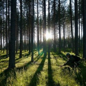 L’industria tessile finlandese in cerca del futuro sostenibile