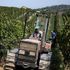 I vini del futuro premiati a Milano: un sigillo di qualità