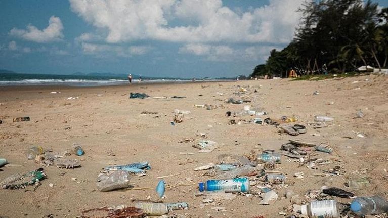 Scoperta un’alternativa alla plastica, studiando la canapa