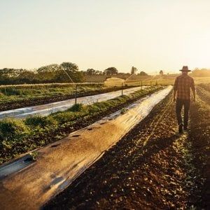 Assobio, pagamenti giusti e puntuali per gli operatori agricoli
