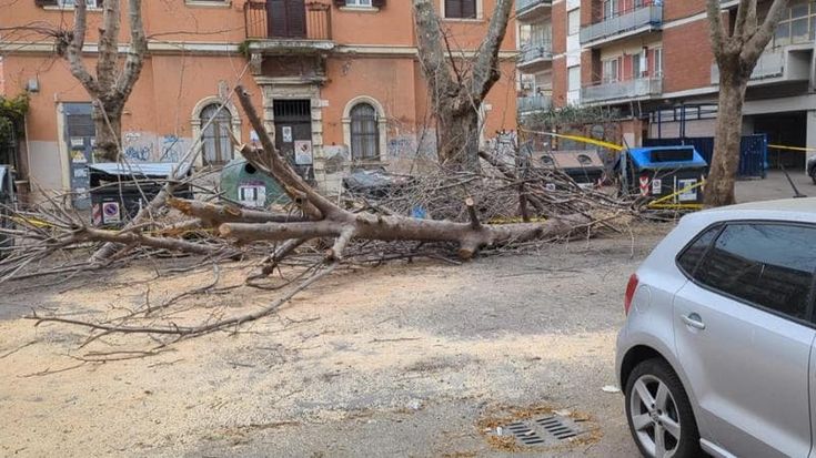 Maltempo, raffiche di vento e mareggiata sul litorale di Ostia: platano crolla su un’auto