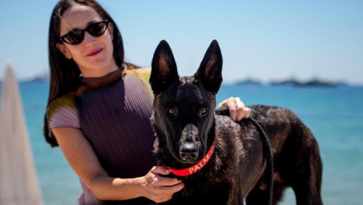 Palm dog, a Cannes vince il cane Yuri. Quando Tarantino venne di persona per celebrare Brandy