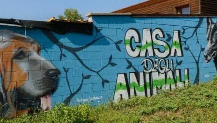 Il Comune di Genova lancia una nuova campagna per adottare cani e gatti