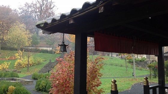 Un'estate all'insegna dello Zen tra natura e meditazione