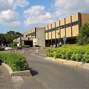 Ostia, malore in mare per un sub: muore in ospedale