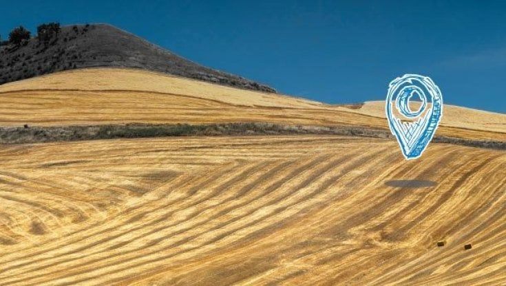 Giovani agricoltori cercasi: Ismea lancia le nuove aste per la terra. Sul piatto 16mila ettari, valgono almeno 255 milioni