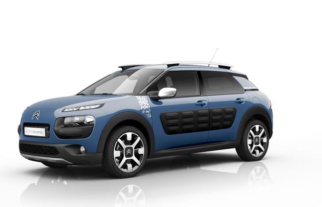 C4 Cactus versione Rip Curl che passione