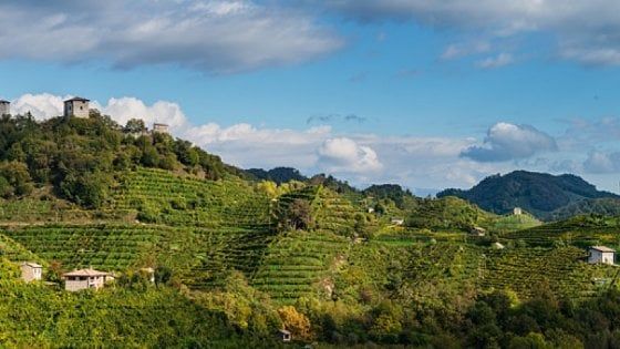 I distretti tornano a ruggire: Prosecco veneto, occhiali bellunesi, salumi di Parma, vini toscani e bufala campana battono la crisi