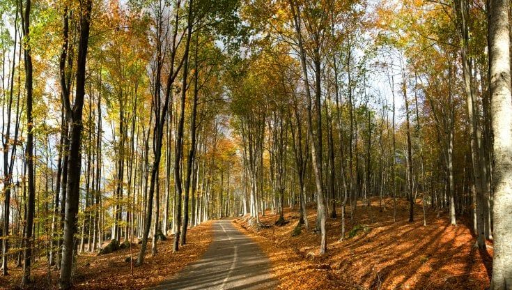 Autumn Tuscan Trails