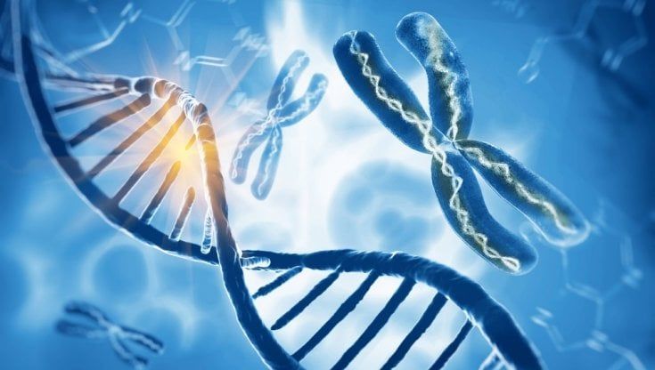 L'Aifa approva la prima terapia genica contro la Sma