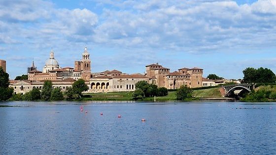 Food&Science Festival: a Mantova l'evoluzione è viva e vegetale
