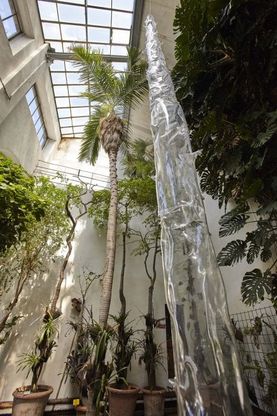 Sculture fra le piante: gli studenti dell'Accademia espongono al Giardino dei Semplici di Firenze