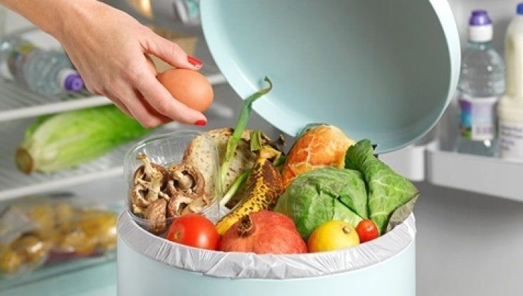 Alimentazione, una spesa di qualità, sana, sostenibile, veloce e senza gettare via 31kg di cibo pro capite pari a 31 miliardi di euro all’anno