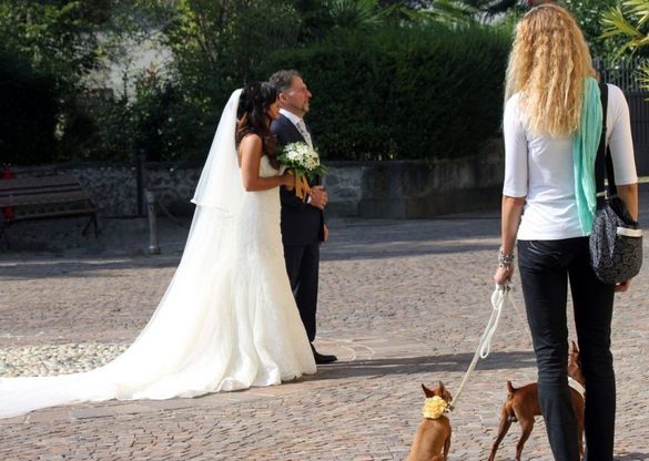 Varese, la dogsitter specialista in matrimoni