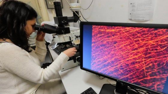 Farmaci, lo scontro sui vaccini pesa sulla reputazione delle imprese