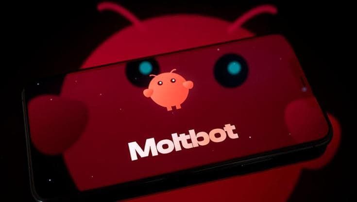 Cos’è l’assistente IA Moltbot e perché se ne parla tanto