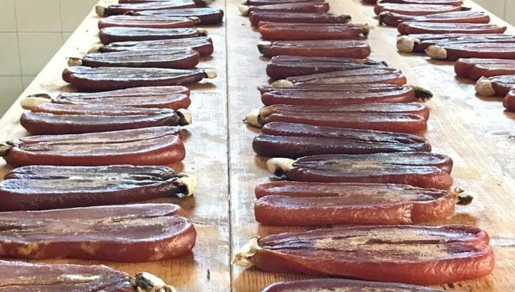 Dalla bottarga al cous cous, dal Franciacorta a Terra Madre, un fine settembre a tutto gusto