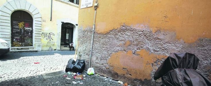 Degrado a Roma: l'albero dei poeti concimato dall'immondizia