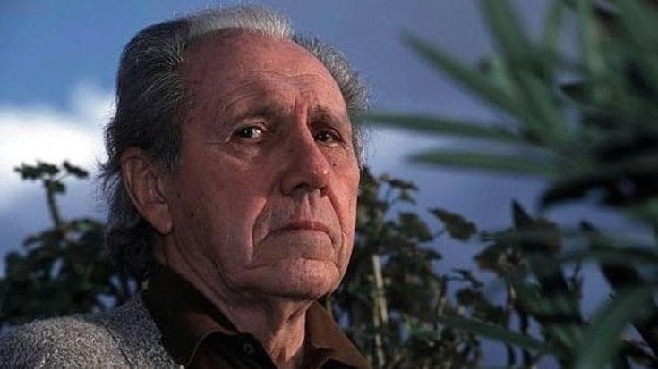 Ricordo di Nelo Risi poeta e regista civile nemico della retorica