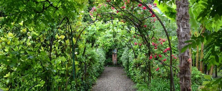 Dietro il portone c'è un tesoro: alla scoperta dei giardini segreti di Bologna