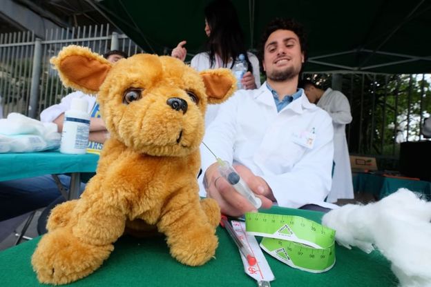 L'ospedale dei pupazzi, per non aver paura del dottore