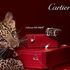 Richemont, utile giù con strumenti finanziari e cambi
